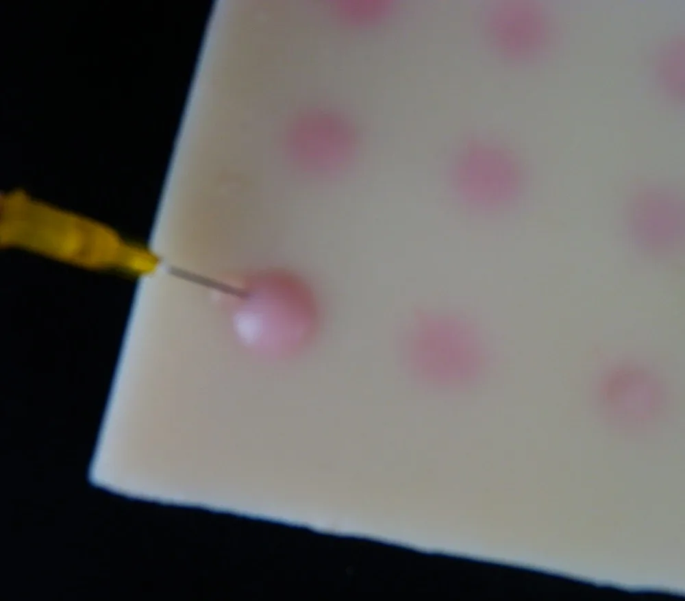 Человеческий скелет многофункциональная внутримышечная инъекция Тренировочный