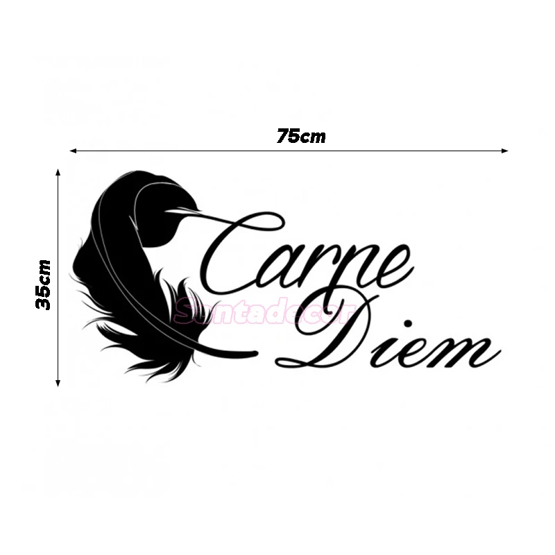 sticker-citation-carpe-diem 1