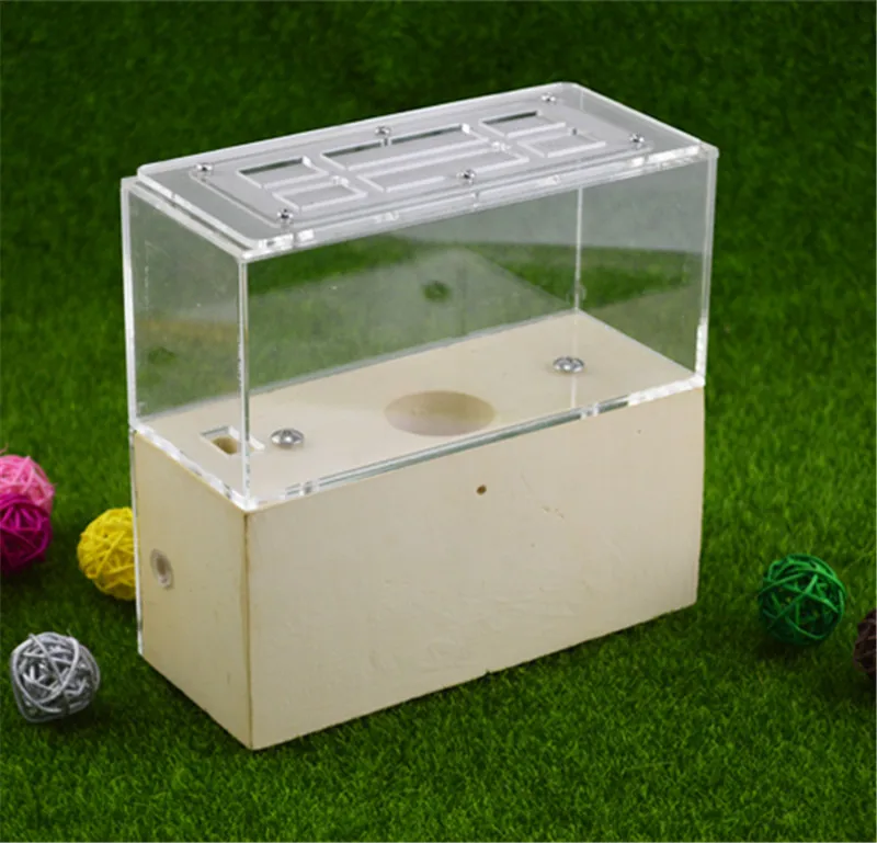 Earth Formicarium designed with ants in mind this sturdy gypsum and acrylic nest measures   (2)