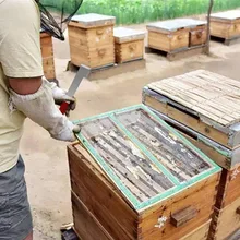 Нержавеющая сталь улей инструмент соскабливание инструмент рамка в виде пчелиного улья подъемник скребок для пчеловодов