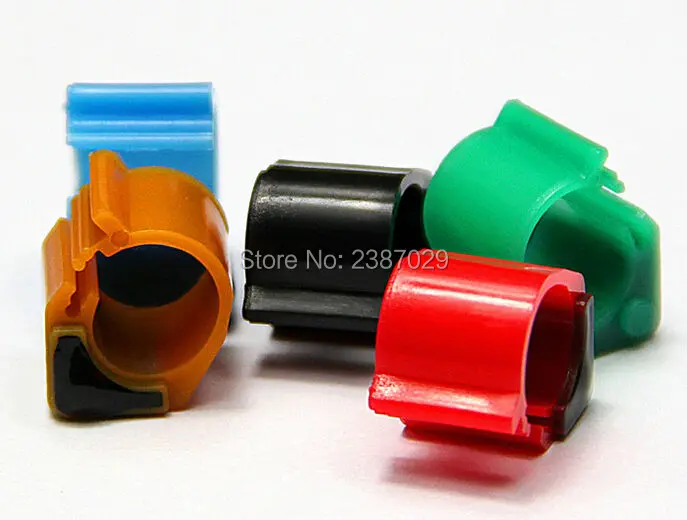 pigeon racing ring