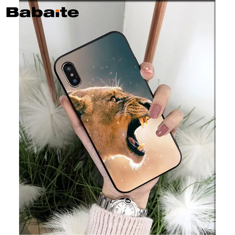 Animals lion