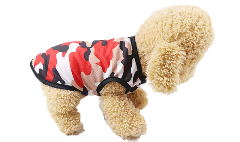 Pet puppy clothes