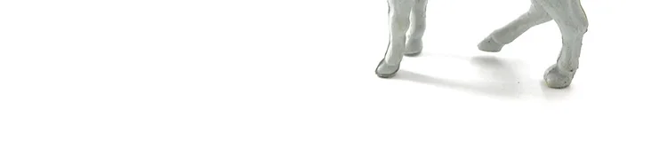 -12-_29