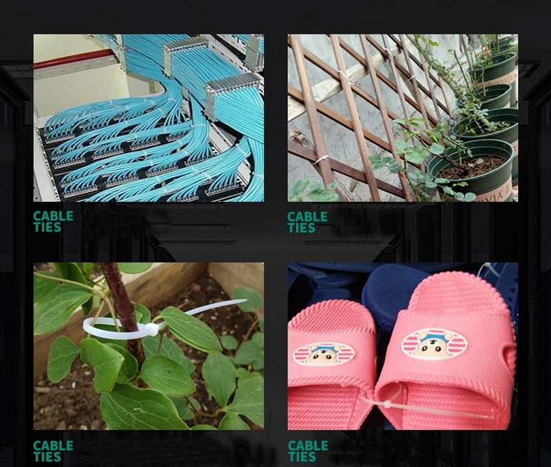 O1CN01euKHm31cbXqgnTVZC_!!688143619