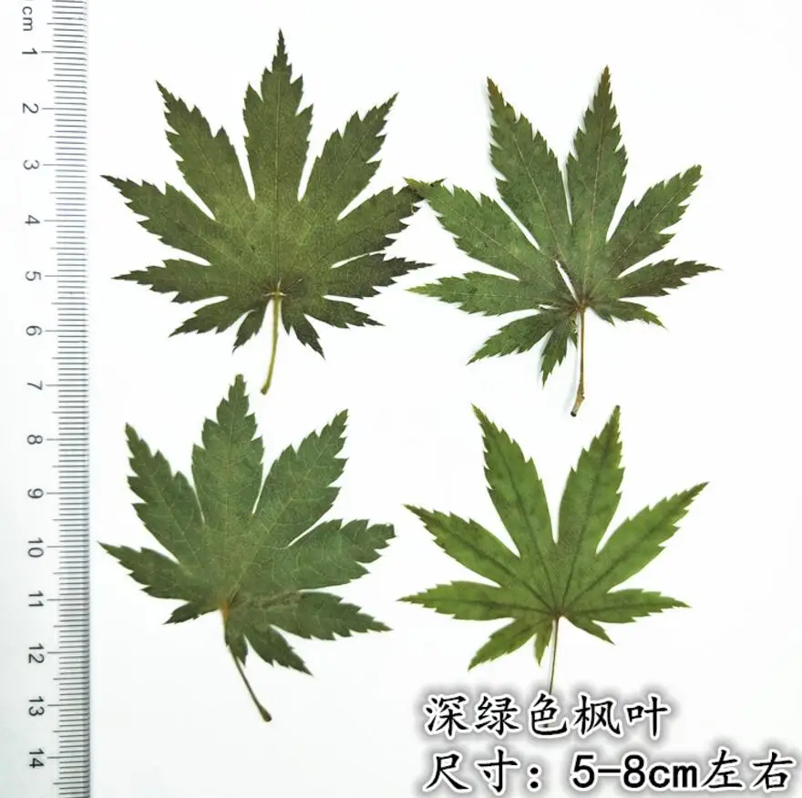 3--3