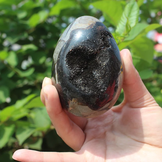 Special Offers 340g Natural curvature of the furnishing articles Turtle grain stone egg  Ball Septarian nodule Fossil Crystal Healing quartz 06