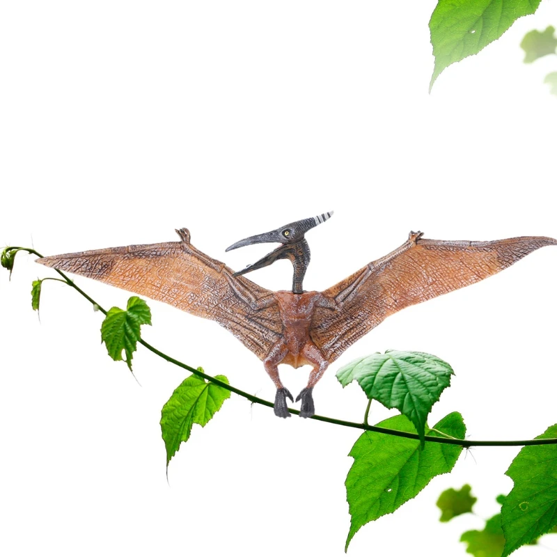 ZJL220 Pterodactyl Dinosaure Action Figure Jouets Main Marionnette Enfants Mod/èle /Éducatif