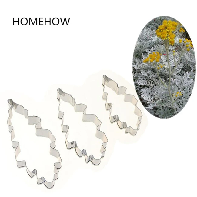 Senecio Cineraria Cake Mold 9 j