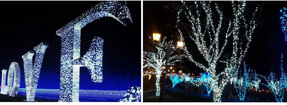 RGB LED Christmas lights (9)