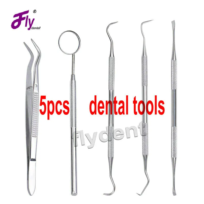 Oral Cavity Stainless Steel tools key 5Pcs/Set Stainless Steel Dental