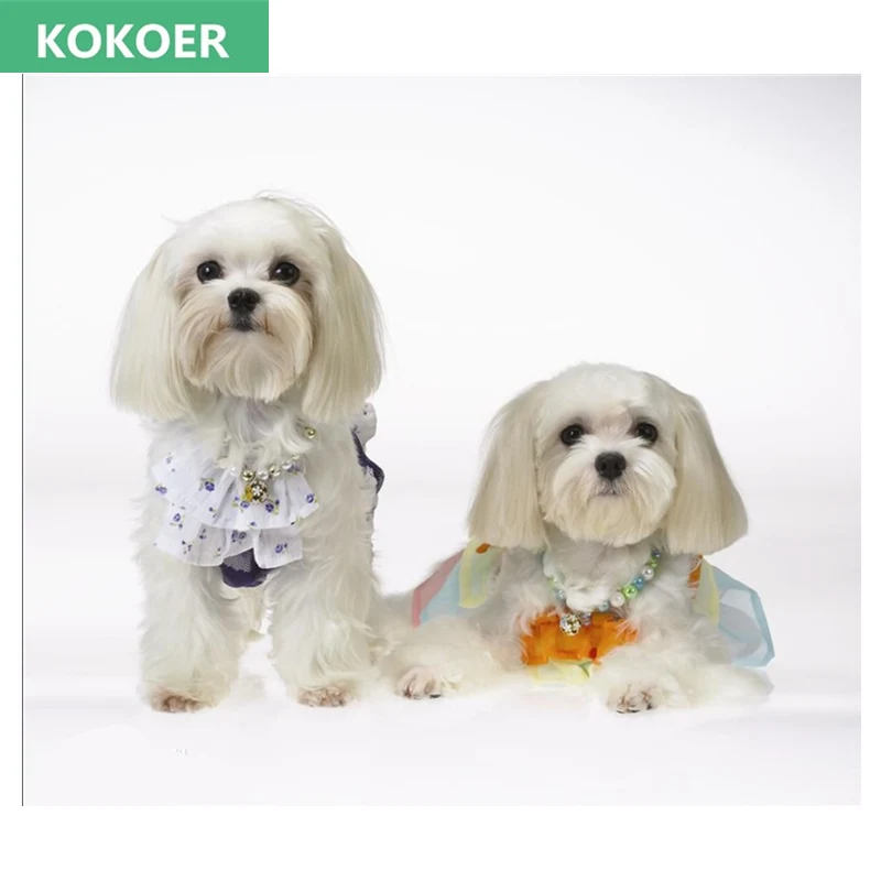 5diy Berlian Bordir Animal Shih Tzu Putih Anjing Peliharaan