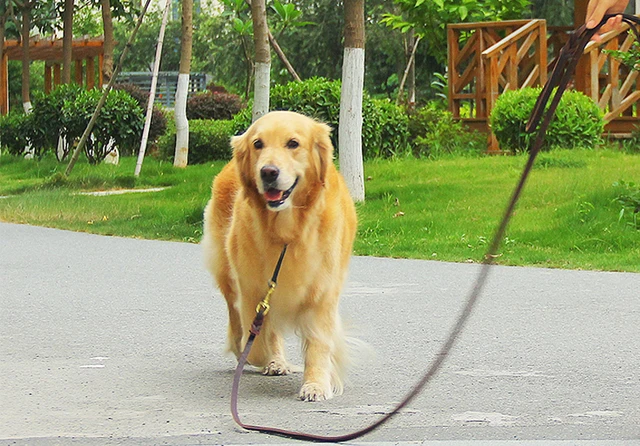 Genuine Leather Dog Leash Dogs Long Leashes Braided Pet Walking Training Leads Brown Black Colors For Medium Large Pet 6