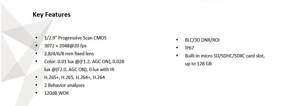 DS-2CD2163G0-I Features