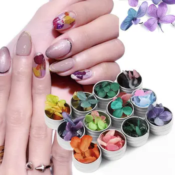 Najtaniej 3D Suszone Kwiaty Suszone Kwiaty Ozdoba Do Paznokci Naturalny Wzór Kwiatowy Naklejki Dla Kobiet Manicure Tipsy Akrylowe Naklejki Artystyczne Porady