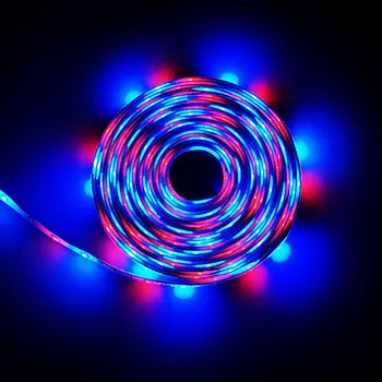 

DC 12V SMD 5M/Pack 2835/3528 More Brighter Than 3528 SMD LED Strip light 60LEDs/M Indoor Decorative Tape White Blue Red