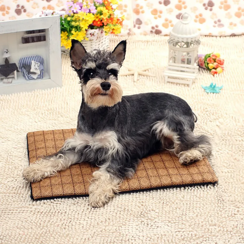 Pet Dog Mat Bed Products for Large Small Dog Sofa Bed ...
