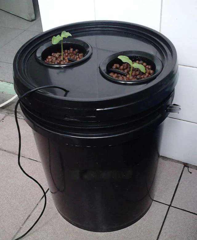 10L Bucket Aeroponics pot with 2 net cup air pump hydroponics system indoor