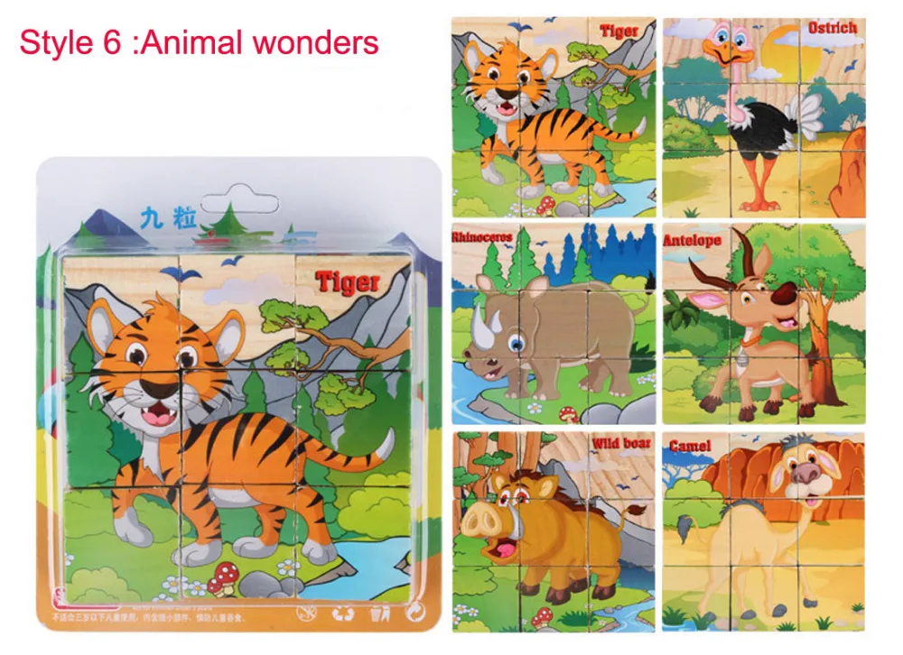 Q6 Animal wonders