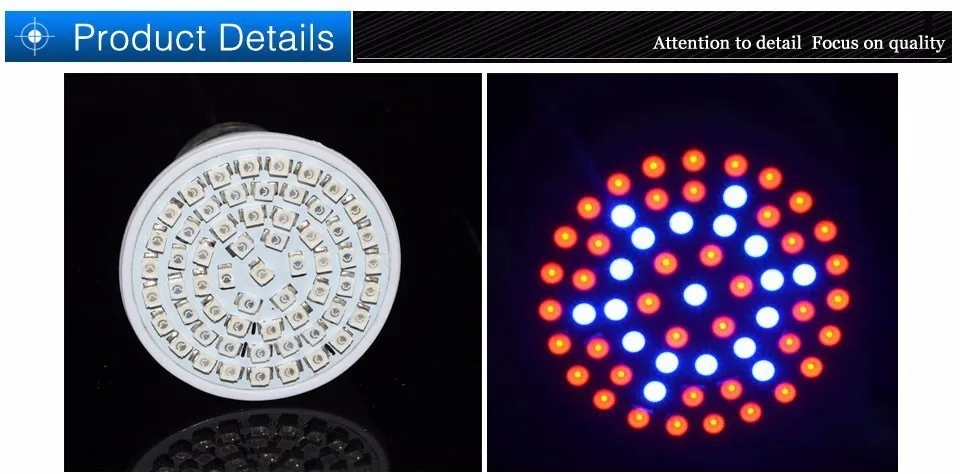 3004184593_241997919