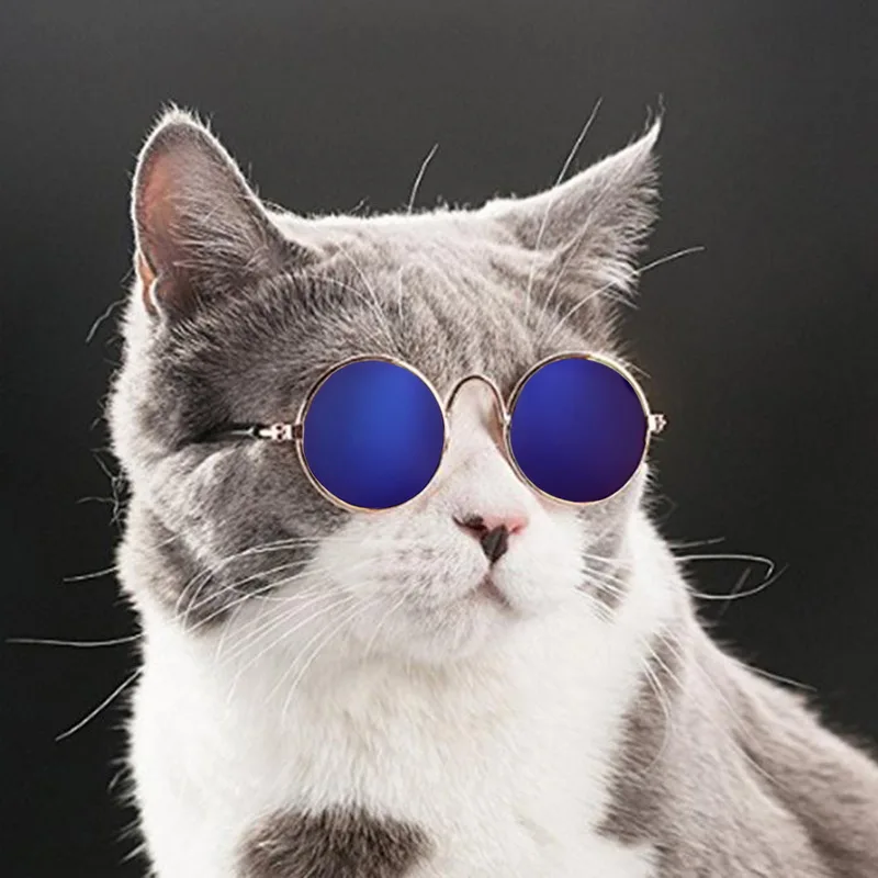 Hoomall прекрасные очки для кошек, собачьи очки, товары для домашних животных для маленьких собак, кошачий глаз, солнцезащитные очки для собак, фото, гаджеты для домашних животных