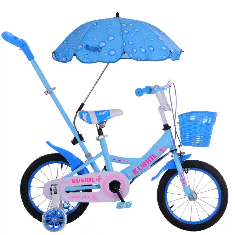 hand propelled bicycle