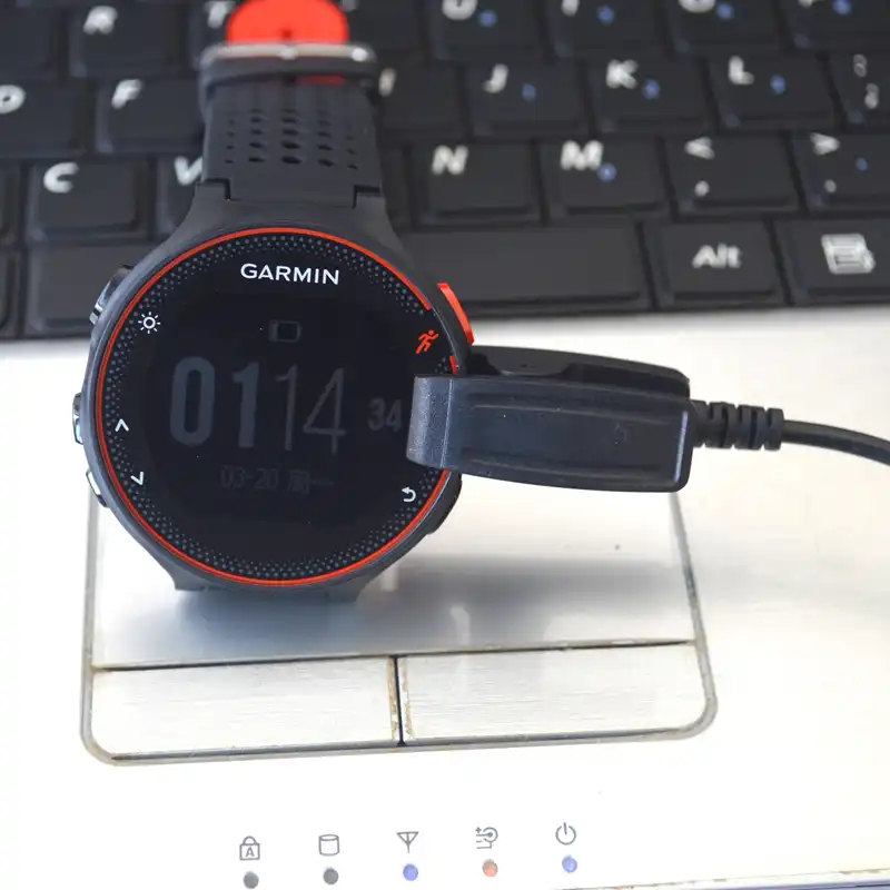 garmin f30