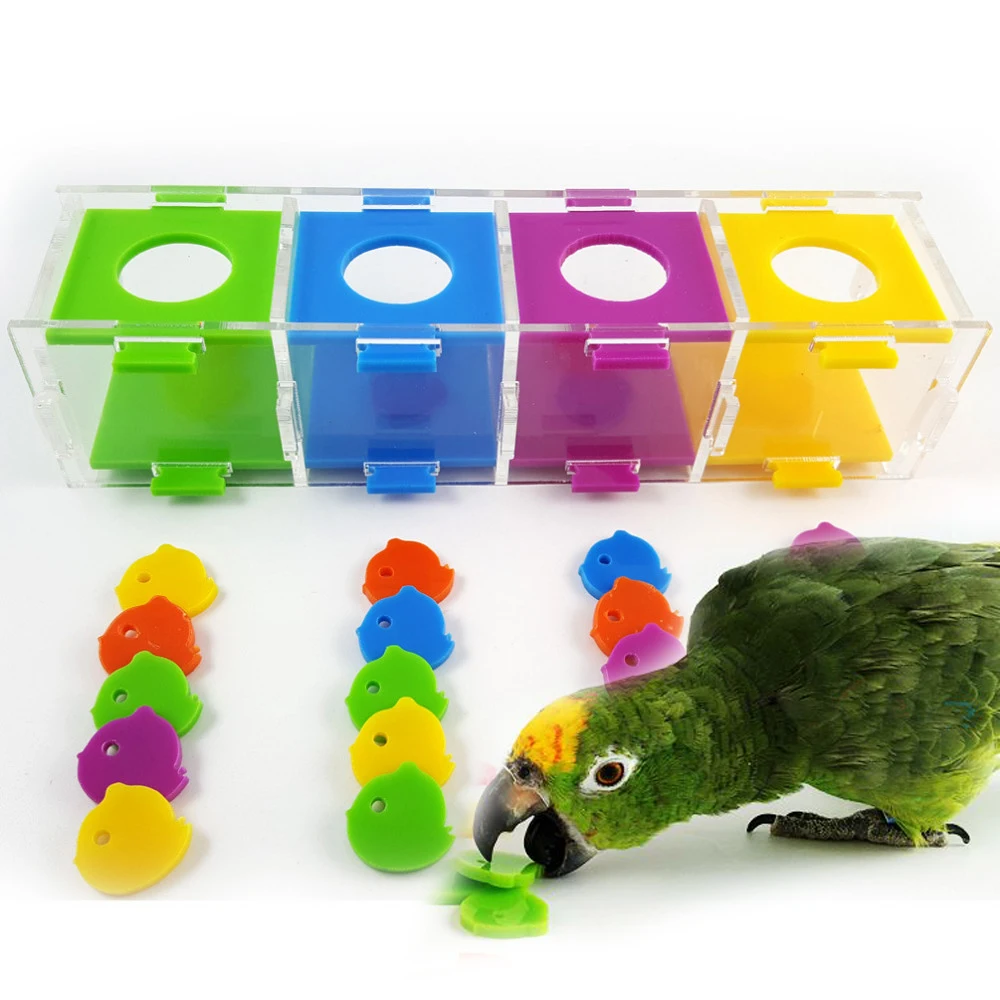 

Puzzle Block Bird Intellective Training Toy For Parrot Macaw African Greys Budgies Parakeet Cockatiels Conure Amazon for Separat
