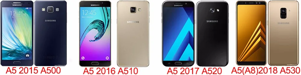 A5 