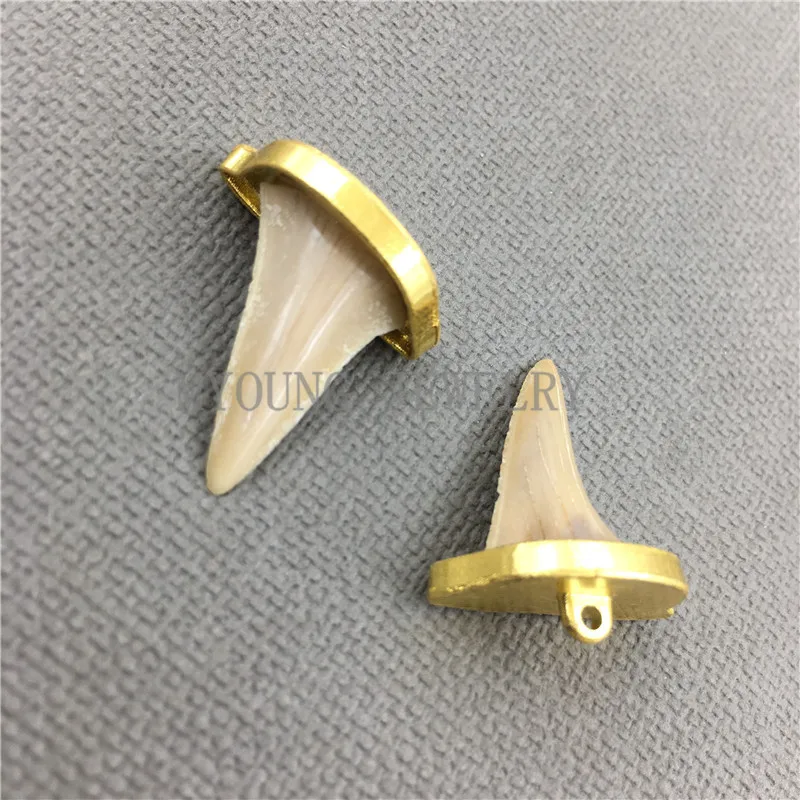 MY0484 Real Shark Tooth Pendant Charm,Natural Gold Color Cap and Bail  Boho Necklace Making Jewelry (2)