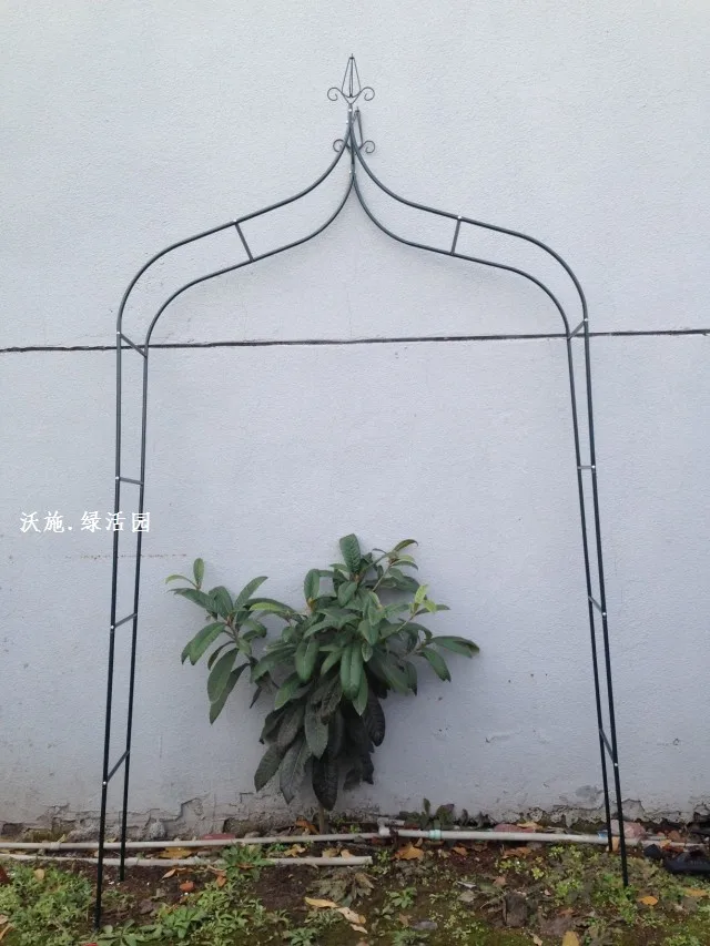 Climbing frame Wrought iron flower arch cosmetic Cany on grape wedding iron frame