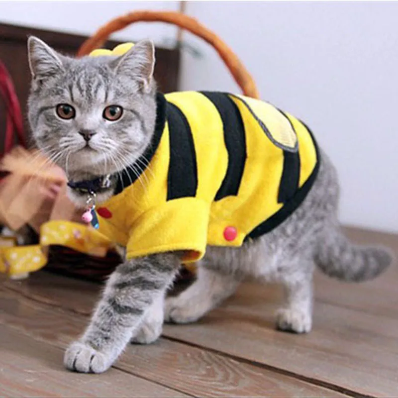 Cute bee shaped clothing for Cats Dog Pet Shop gatos cat clothes roupa