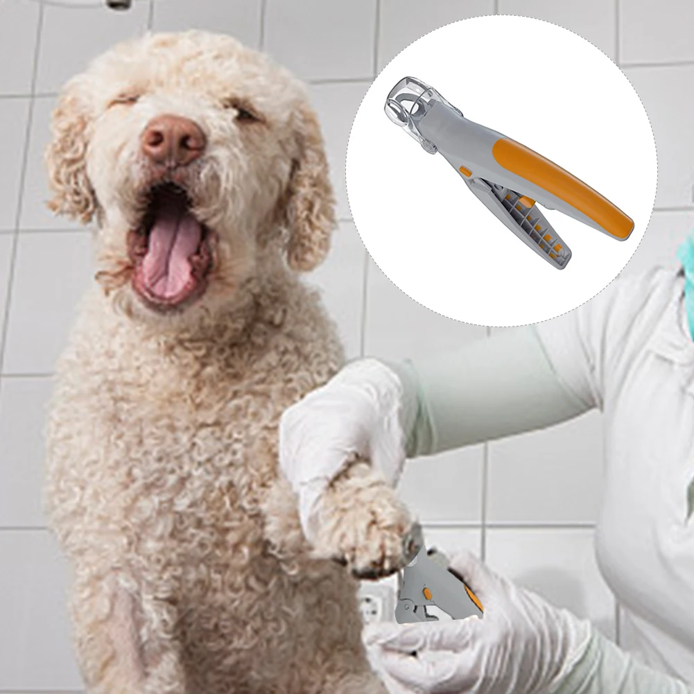 Новое поступление, товары для стрижки ногтей для домашних животных, светильник для чистки домашних животных, инструменты для чистки собак, кошек, ножницы для ухода за ногтями