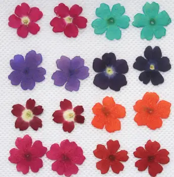 

120pcs Pressed Dried Cherry blossoms Flower Dry Plants For Epoxy Resin Pendant Necklace Jewelry Making Craft DIY Accessories