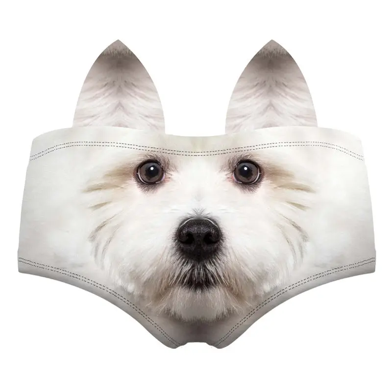 55120 white terrier wiz back 