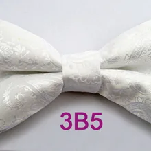 YIBEI Coachella галстуки белый Пейсли галстук-бабочка Мужская однотонная бабочка взрослые галстуки-бабочки для смокинга Предварительно Связанные аксессуары для одежды