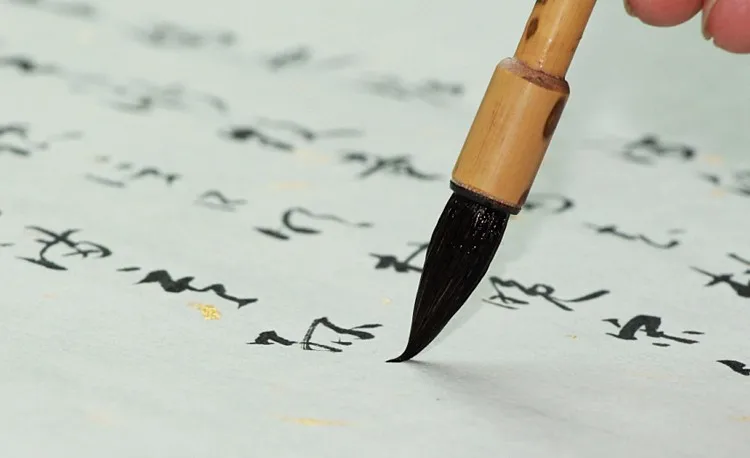 TB2lsPppVXXXXbyXXXXXXXXXXXX_!!66571612