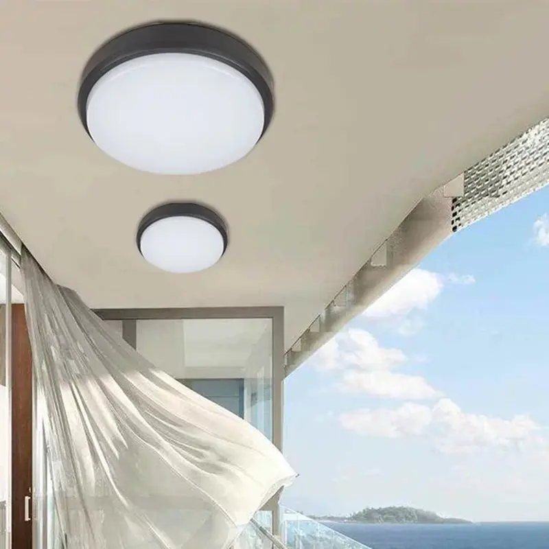 

Surface Mount LED Ceiling Light AC 220V Modern LED Outdoor Waterproof Dust Wall Light Ceiling Light for Balcony Restaurant
