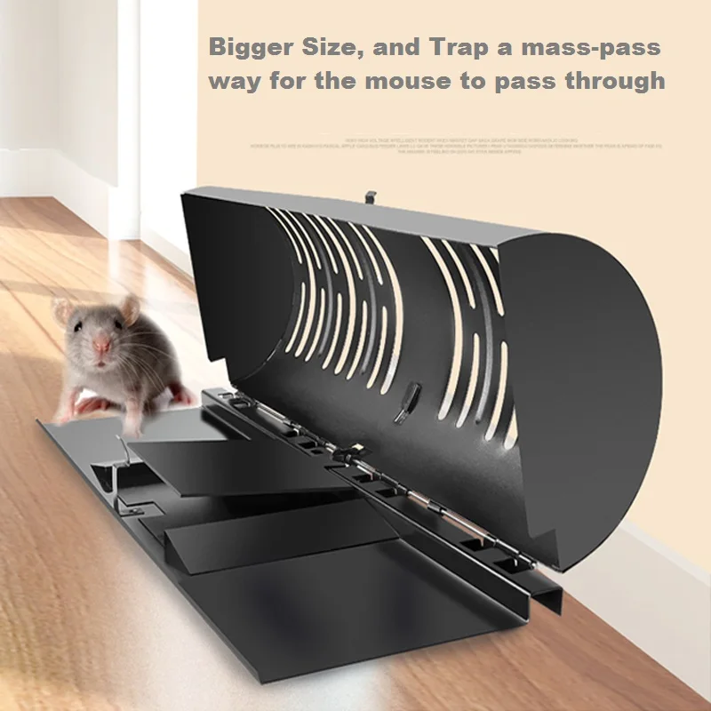 mouse trap (4)