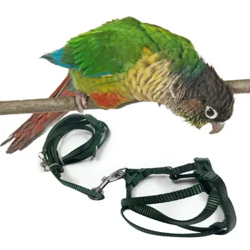 

Soft Portable Pet Parrot Bird Harness Leash Lead Anti-bite Adjustable Traction Strap Training Rope random color