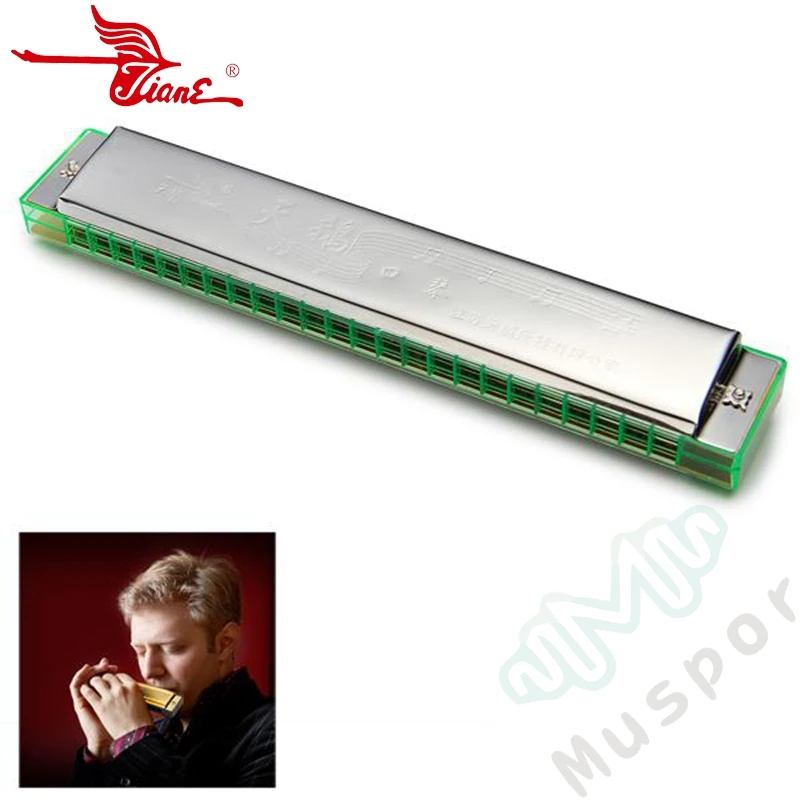 

SWAN 24 Holes Double Tremolo Tuned Harmonica Key of C Kids Silver