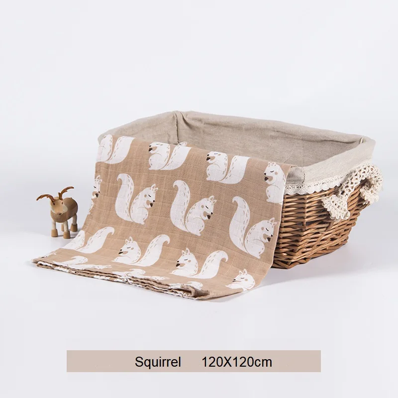 2 Layers Squirrel