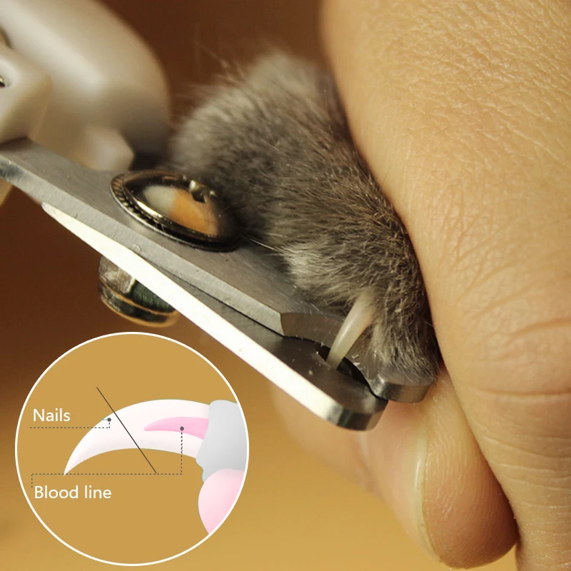 Собака ножницы и щипчики для ногтей Kitty Cat Nail Clipper Pet Уход за лошадьми собака когтерезка триммер для Животные кота собаки Nailclipper FN S1