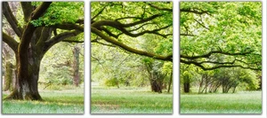 QIANZEHUI. Рукоделие, DIY печать Триптих evergreen дерево вышивка крестиком, зеленые наборы деревьев для DIY для вышивания Наборы для вышивания крестиком - Цвет: triptych