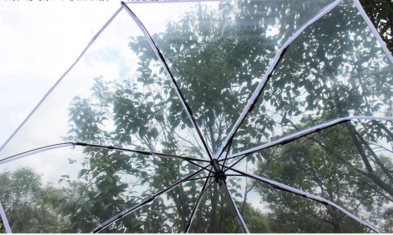 parapluie transparent1 (10)
