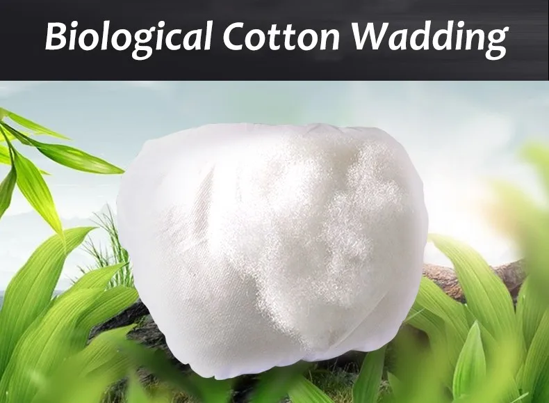 TB2UnCvspXXXXbAXpXXXXXXXXXX_!!2457565201