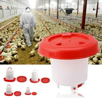 

Chicken Feeder Drinker Ideal for 4 Poultry Chick Hen Quail Bantam Water Feeding
