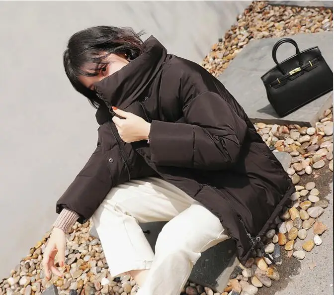 Женская зимняя куртка, утолщенная, теплая, свободная, с подкладкой, парка, на каждый день, размера плюс, Harajuku, теплый пуховик, парка, свободная, с подкладкой, BF пальто для женщин - Цвет: Черный