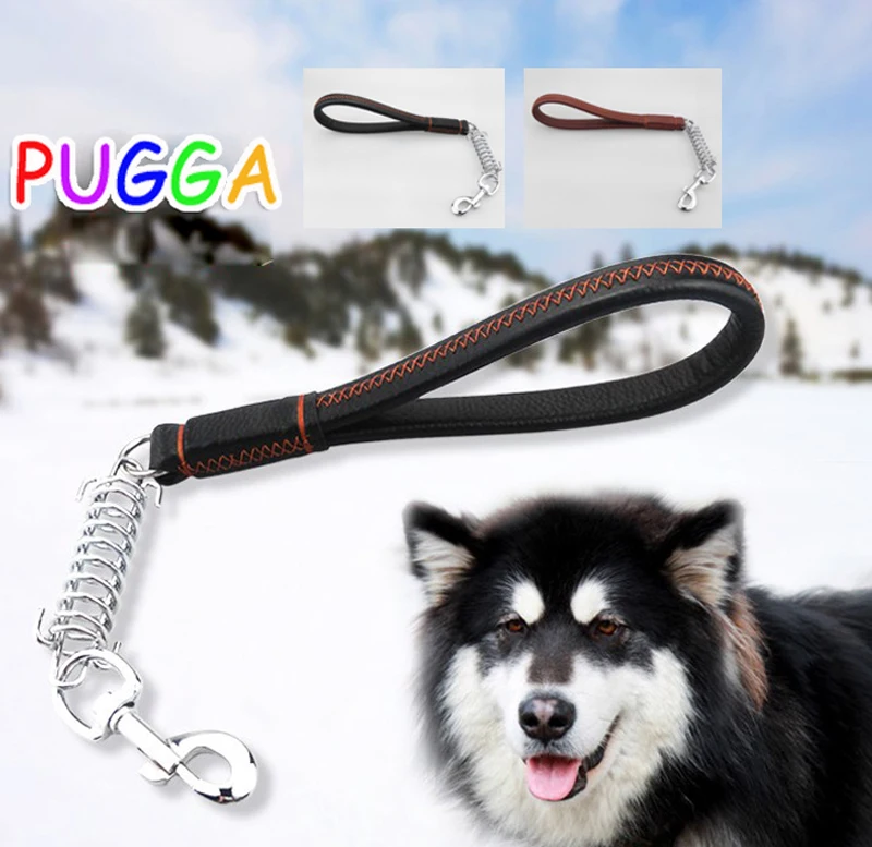 47+ Anjing samoyed coklat update 