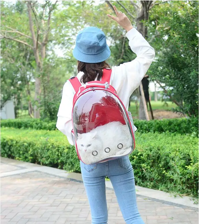 QQ20181130155329